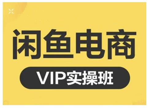 闲鱼电商零基础入门到进阶VIP实战课程，帮助你掌握闲鱼电商所需的各项技能-财富课程