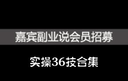 嘉宾副业说实操36技合集，价值1380元-财富课程