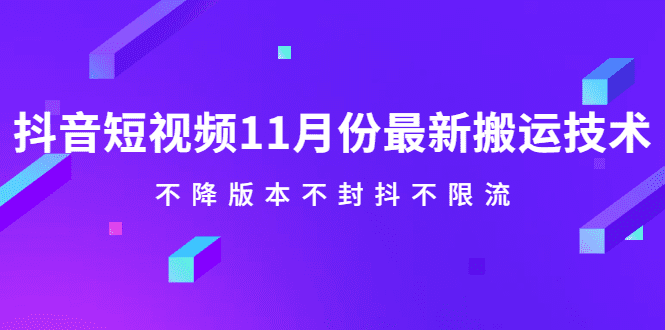 抖音短视频11月份最新搬运技术，不降版本不封抖不限流！【视频课程】-财富课程