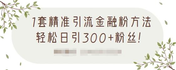 1套精准引流金融粉方法，轻松日引300+粉丝【视频课程】-财富课程