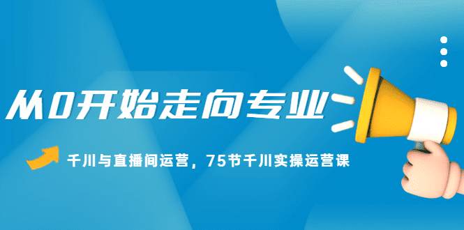 从0开始走向专业，千川与直播间运营，75节千川实操运营课-财富课程