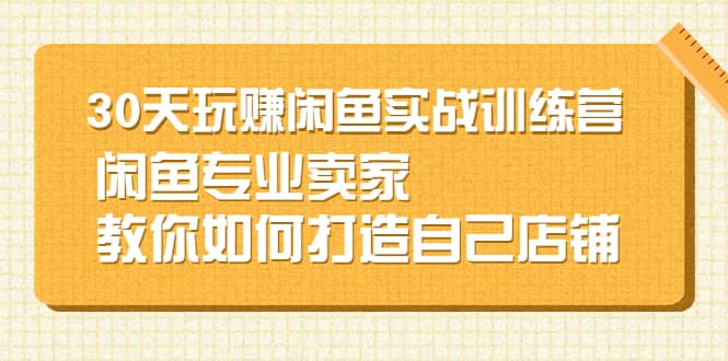 30天玩赚闲鱼实战训练营，闲鱼专业卖家教你如何打造自己店铺-财富课程