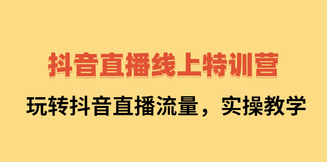 抖音直播线上特训营：玩转抖音直播流量，实操教学-财富课程