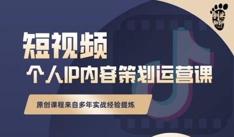 抖音短视频个人ip内容策划实操课，真正做到普通人也能实行落地-财富课程