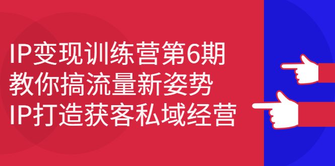 IP变现训练营第6期：教你搞流量新姿势，IP打造获客私域经营-财富课程