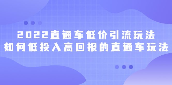 2022直通车低价引流玩法，教大家如何低投入高回报的直通车玩法-财富课程