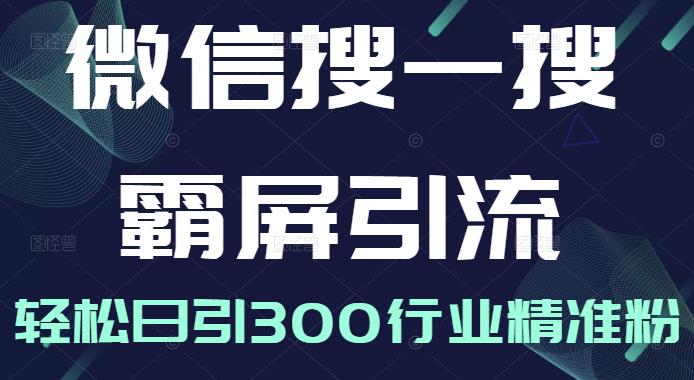 微信搜一搜霸屏引流课，打造被动精准引流系统，轻松日引300行业精准粉【无水印】-财富课程