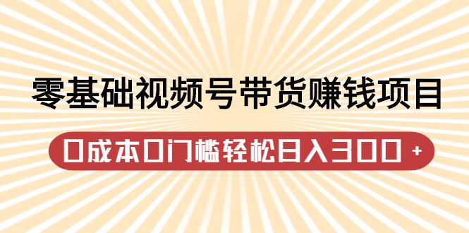 零基础视频号带货赚钱项目，0成本0门槛轻松日入300+【视频教程】-财富课程