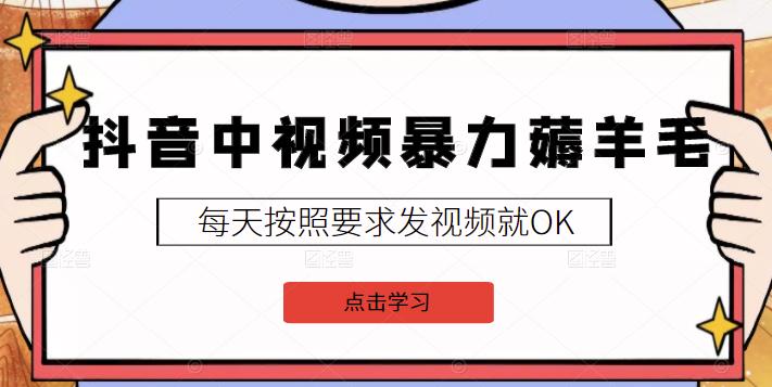 2022抖音中视频暴力薅羊毛白嫖项目：新号每天20块，老号几天几百块，可多号-财富课程