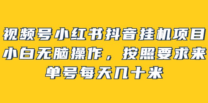 视频号小红书抖音挂机项目，小白无脑操作，按照要求来，单号每天几十米-财富课程