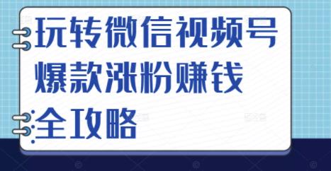 玩转微信视频号爆款涨粉赚钱全攻略，让你快速抓住流量风口，收获红利财富-财富课程