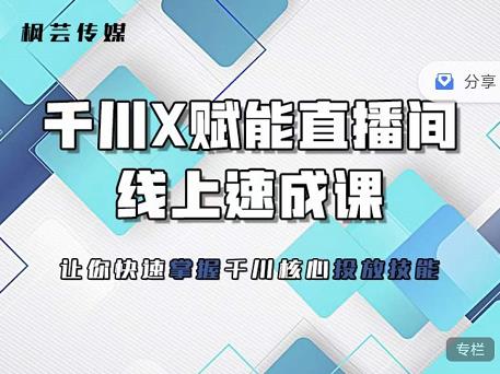 枫芸传媒-线上千川提升课，提升千川认知，提升千川投放效果-财富课程