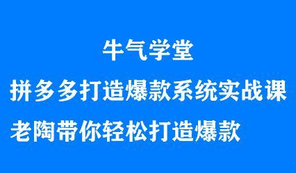 牛气学堂拼多多打造爆款系统实战课，老陶带你轻松打造爆款-财富课程