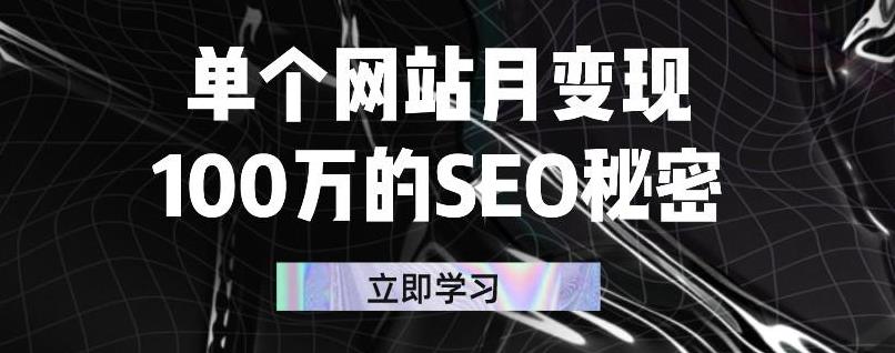 单个网站月变现100万的SEO秘密，百分百做出赚钱站点-财富课程