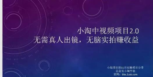 小淘项目组网赚永久会员，绝对是具有实操价值的，适合有项目做需要流程【持续更新】-财富课程