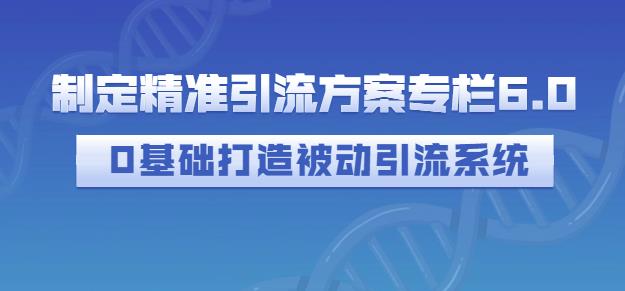 制定精准引流方案专栏6.0，0基础打造被动引流系统-财富课程