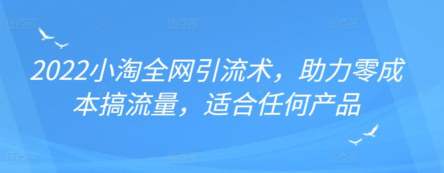 2022年小淘全网引流术，助力零成本搞流量，适合任何产品-财富课程