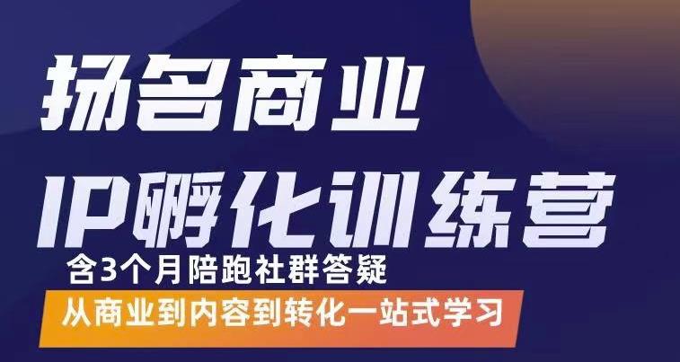 杨名商业IP孵化训练营，从商业到内容到转化一站式学 价值5980元-财富课程