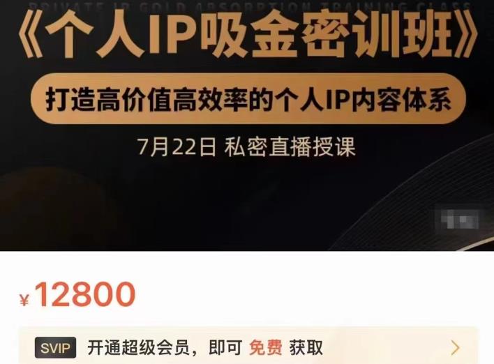 个人IP吸金密训班，打造高价值高效率的个人IP内容体系（价值12800元）-财富课程