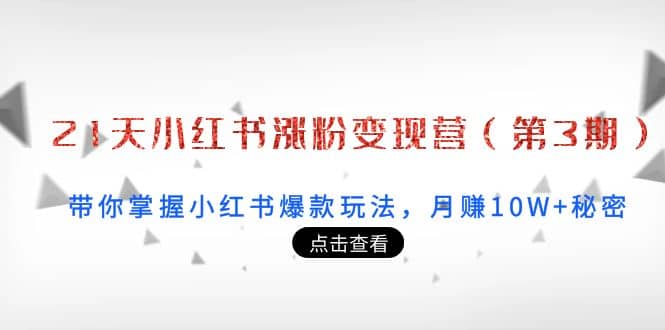 21天小红书涨粉变现营（第3期）：带你掌握小红书爆款玩法，月赚10W+秘密-财富课程