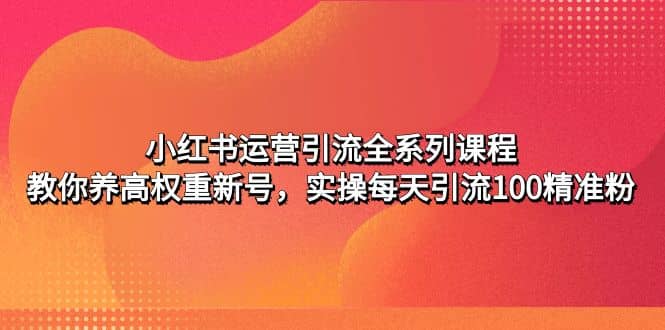 小红书运营引流全系列课程：教你养高权重新号-财富课程