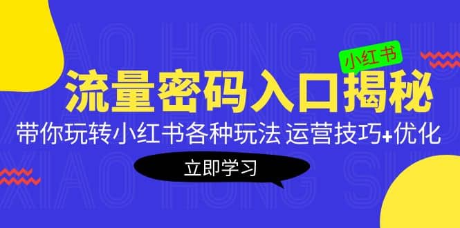 小红书流量密码入口揭秘：带你玩转小红书各种玩法 运营技巧+优化-财富课程