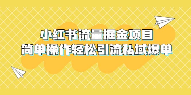 外面收费398小红书流量掘金项目，简单操作轻松引流私域爆单-财富课程