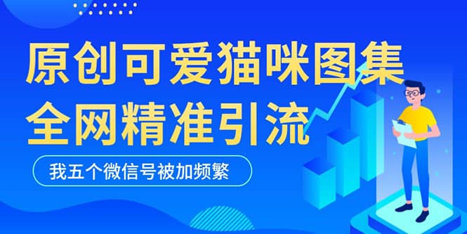 黑科技纯原创可爱猫咪图片，全网精准引流，实操5个VX号被加频繁-财富课程