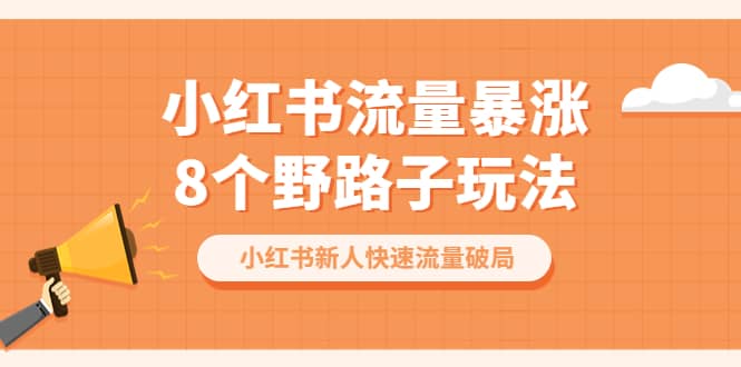 小红书流量-暴涨8个野路子玩法：小红书新人快速流量破局（8节课）-财富课程