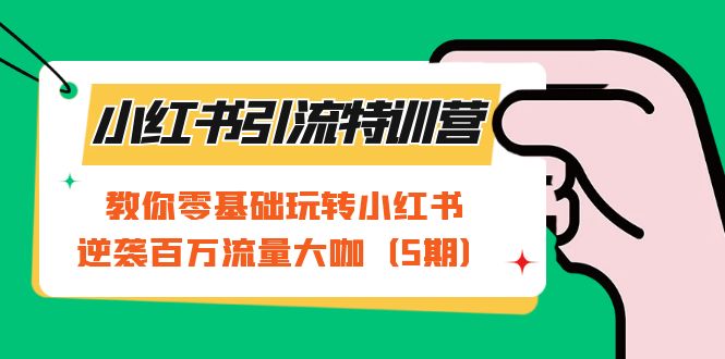 小红书引流特训营-第5期：教你零基础玩转小红书，逆袭百万流量大咖-财富课程