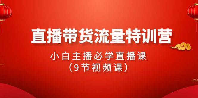 2024直播带货流量特训营，小白主播必学直播课（9节视频课）-财富课程