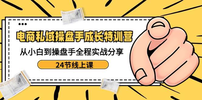 电商私域-操盘手成长特训营：从小白到操盘手全程实战分享-24节线上课-财富课程