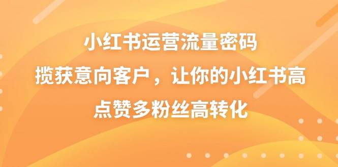 小红书运营流量密码，揽获意向客户，让你的小红书高点赞多粉丝高转化-财富课程