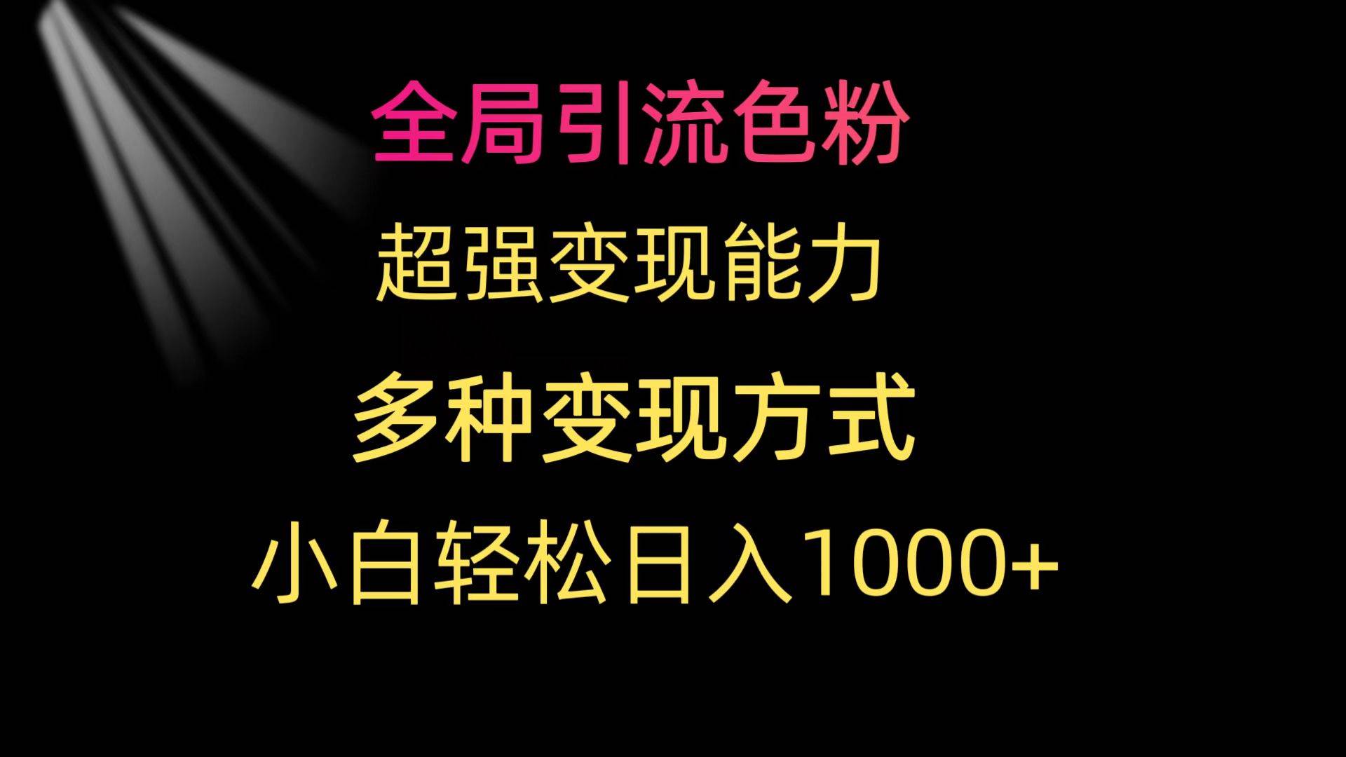 全局引流色粉 超强变现能力 多种变现方式 小白轻松日入1000+-财富课程