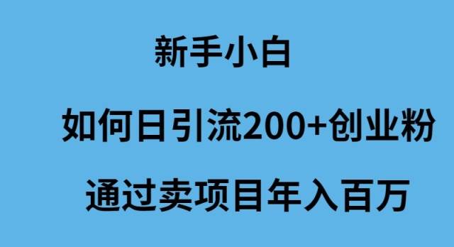 新手小白如何日引流200+创业粉通过卖项目年入百万-财富课程