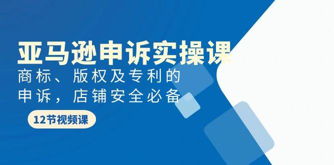 亚马逊-申诉实战课，商标、版权及专利的申诉，店铺安全必备-财富课程