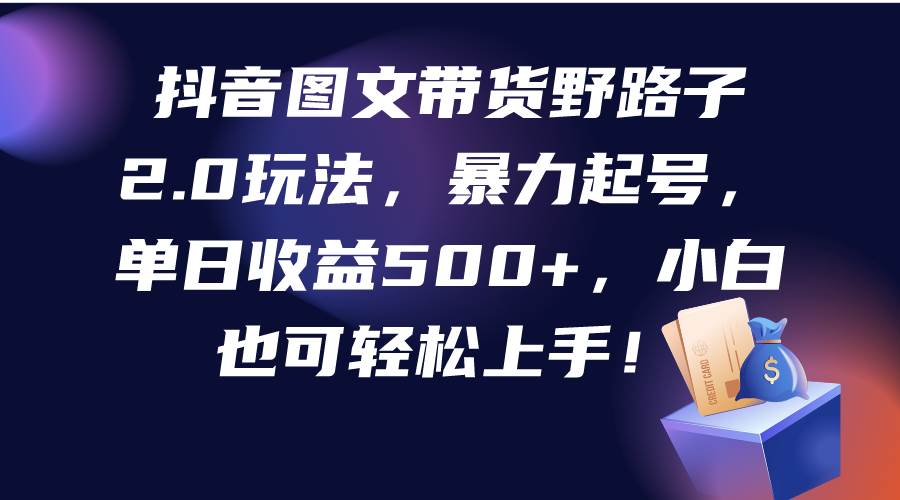 抖音图文带货野路子2.0玩法，暴力起号，单日收益500+，小白也可轻松上手！-财富课程