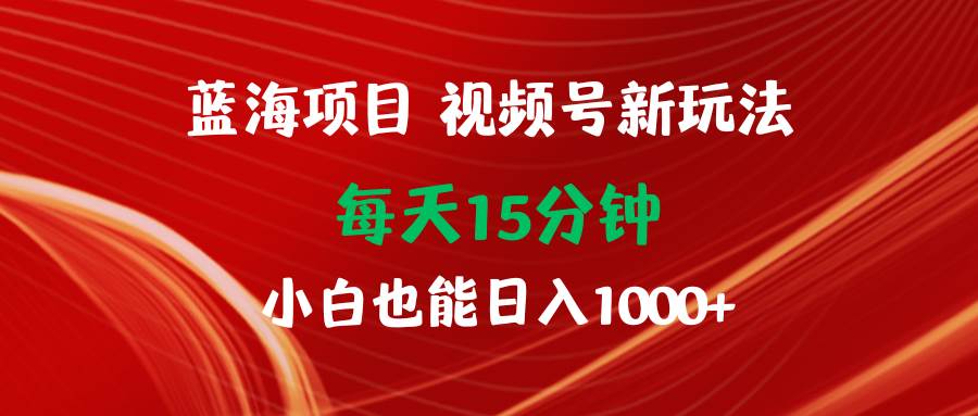 蓝海项目视频号新玩法 每天15分钟 小白也能日入1000+-财富课程