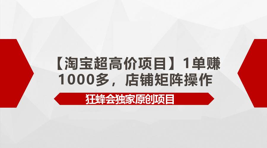 【淘宝超高价项目】1单赚1000多，店铺矩阵操作-财富课程