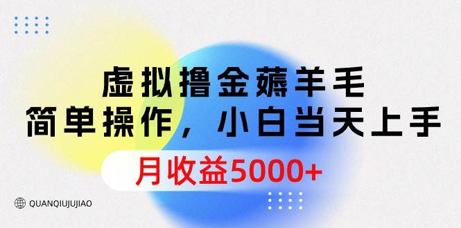 虚拟撸金薅羊毛，简单操作，小白当天上手，月收益5000+-财富课程