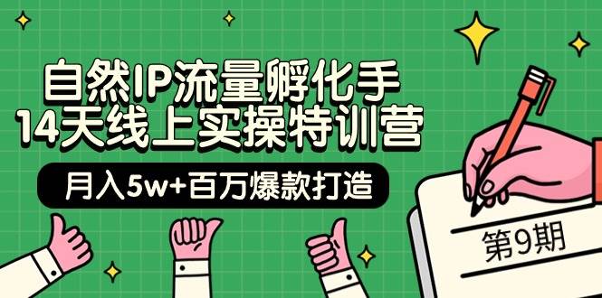 自然IP流量孵化手 14天线上实操特训营【第9期】月入5w+百万爆款打造 (74节)-财富课程