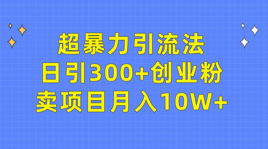 超暴力引流法，日引300+创业粉，卖项目月入10W+-财富课程