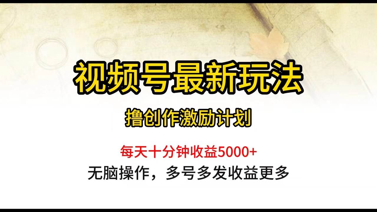 视频号最新玩法，每日一小时月入5000+-财富课程