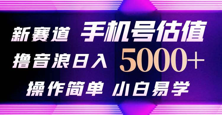 抖音不出境直播【手机号估值】最新撸音浪，日入5000+，简单易学，适合…-财富课程