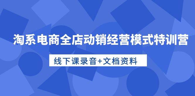 淘系电商全店动销经营模式特训营，线下课录音+文档资料-财富课程