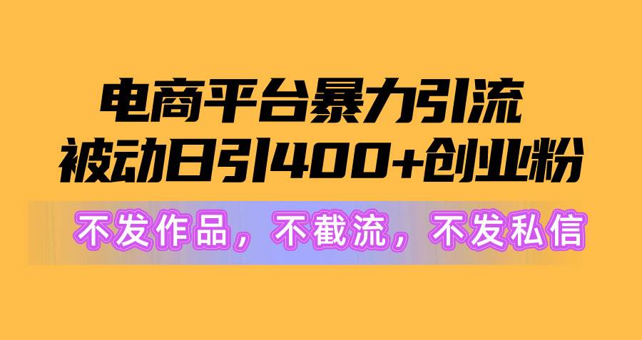 电商平台暴力引流,被动日引400+创业粉不发作品，不截流，不发私信-财富课程