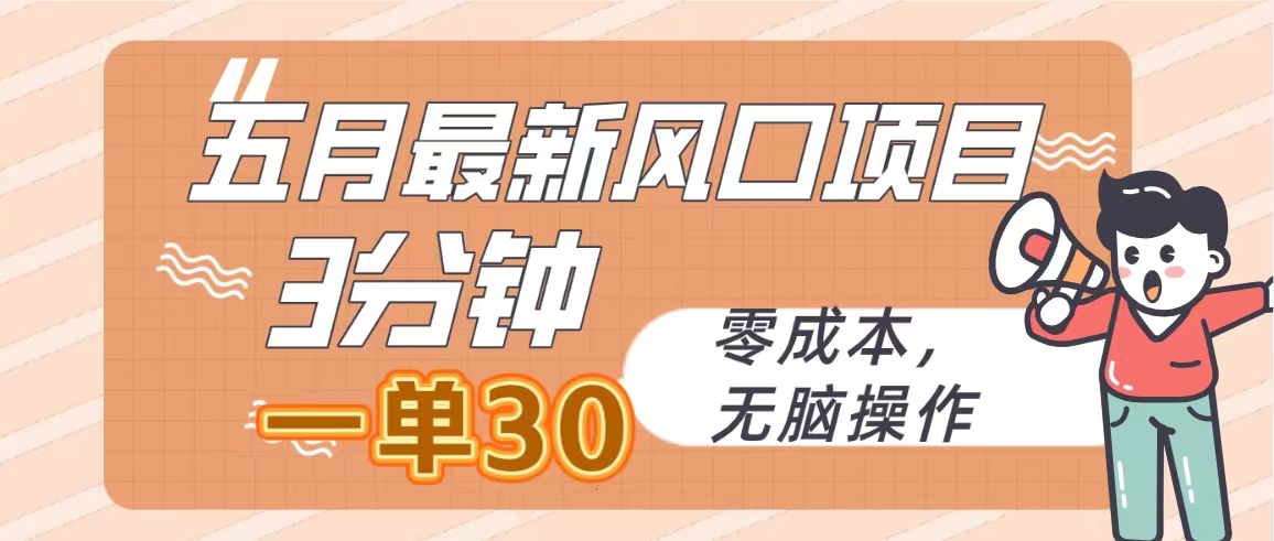 五月全新蓝海项目，3min一单30，零成本，没脑子实际操作-财富课程