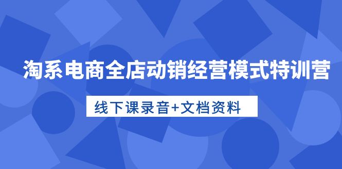 淘宝电子商务全店动销运营模式夏令营，面授课音频 档案文件-财富课程