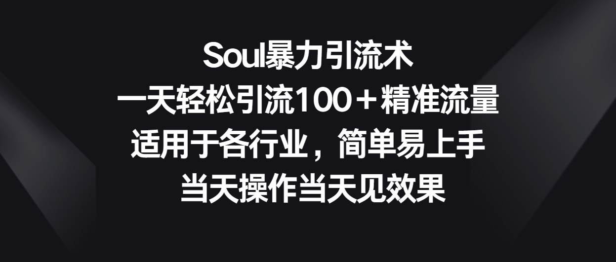 Soul暴力引流术，一天轻松引流100＋精准流量，适用于各行业，简单易上手！-财富课程