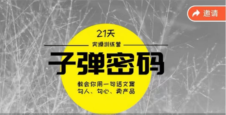 《子弹密码训练营》用一句话文案撩人勾心推销产品，21天学习到顶尖文案高手方案和方法-财富课程